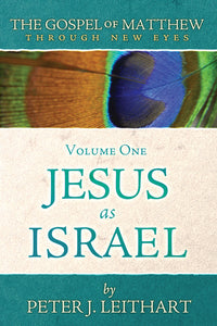 The Gospel of Matthew Through New Eyes Volume One: Jesus as Israel